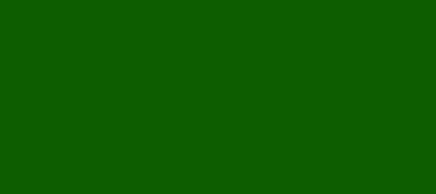 Color #0F5D00 Green (background png icon) HTML CSS