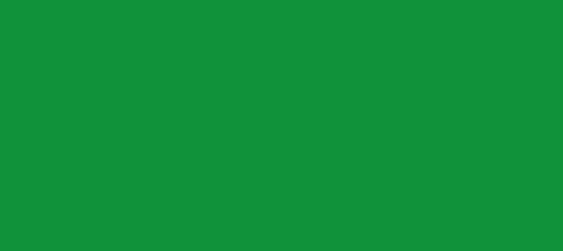 Color #0F923A Pigment Green (background png icon) HTML CSS