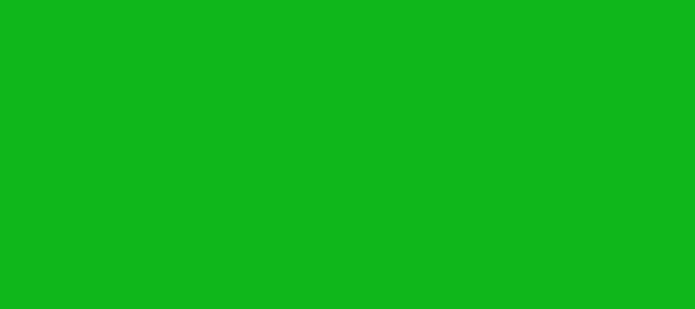 Color #0FB71B Dark Pastel Green (background png icon) HTML CSS