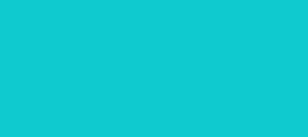 Color #0FCBD0 Dark Turquoise (background png icon) HTML CSS