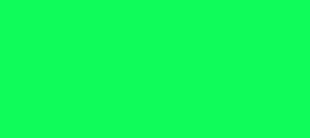 Color #0FFC5A Malachite (background png icon) HTML CSS