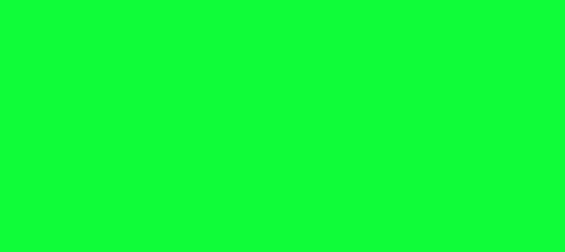Color #0FFD39 Free Speech Green (background png icon) HTML CSS