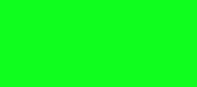 Color #0FFE1E Free Speech Green (background png icon) HTML CSS