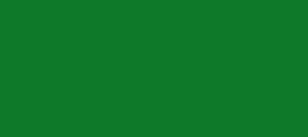 Color #0F792A Camarone (background png icon) HTML CSS