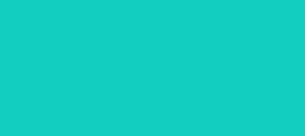 Color #10CDBF Robin's Egg Blue (background png icon) HTML CSS