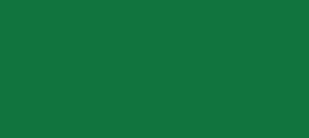 Color #11743E Dark Spring Green (background png icon) HTML CSS