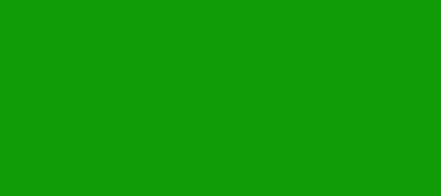 Color #129B08 Islamic Green (background png icon) HTML CSS