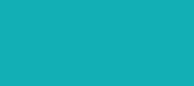 Color #12AFB5 Light Sea Green (background png icon) HTML CSS