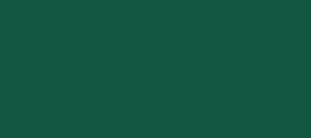 Color #135742 Fun Green (background png icon) HTML CSS