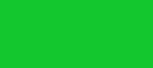 Color #13C72E Dark Pastel Green (background png icon) HTML CSS