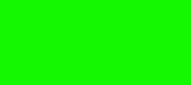 Color #14F802 Free Speech Green (background png icon) HTML CSS