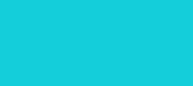 Color #14CFDB Dark Turquoise (background png icon) HTML CSS