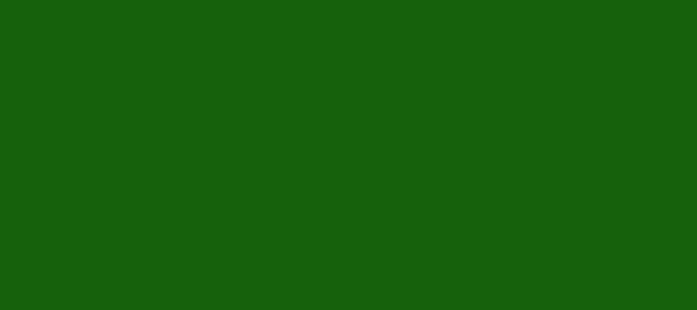 Color #15600D Myrtle (background png icon) HTML CSS