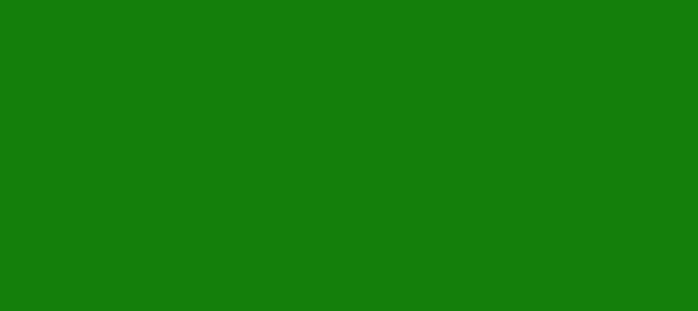 Color #157F0B Green (background png icon) HTML CSS