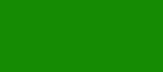 Color #158A03 Green (background png icon) HTML CSS