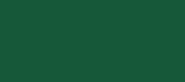 Color #165839 Fun Green (background png icon) HTML CSS