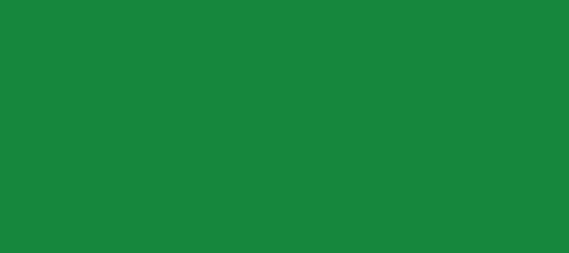 Color #16873D Salem (background png icon) HTML CSS