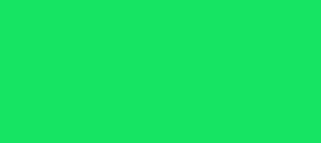 Color #16E463 Malachite (background png icon) HTML CSS