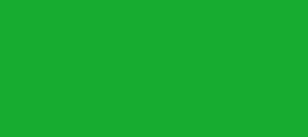 Color #17AC30 Dark Pastel Green (background png icon) HTML CSS