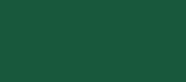 Color #18583C Fun Green (background png icon) HTML CSS