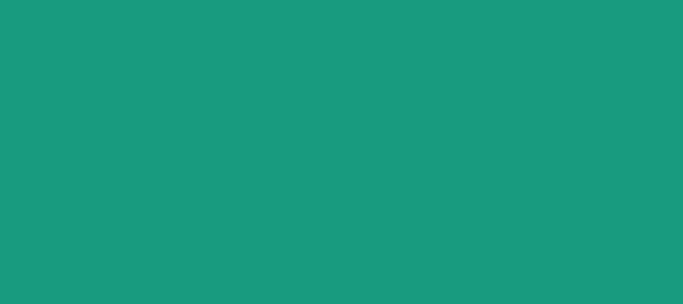 Color #189B7F Free Speech Aquamarine (background png icon) HTML CSS