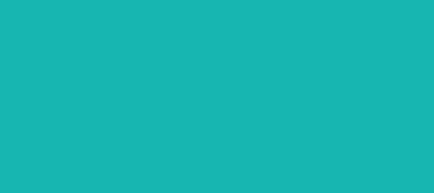 Color #18B6B0 Light Sea Green (background png icon) HTML CSS