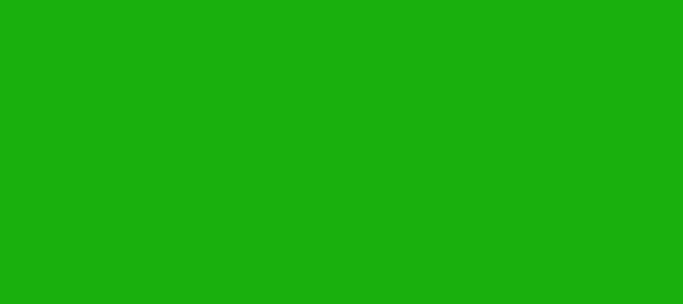 Color #19B00D Islamic Green (background png icon) HTML CSS