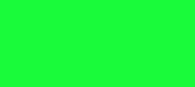 Color #19FB3A Free Speech Green (background png icon) HTML CSS