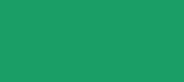 Color #1A9E66 Elf Green (background png icon) HTML CSS