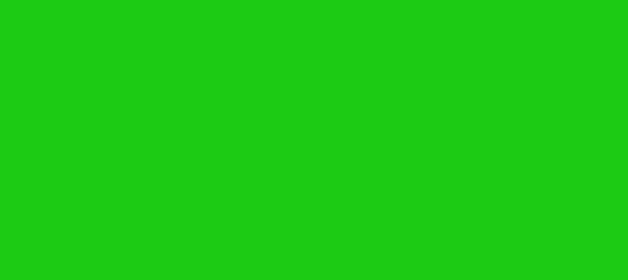 Color #1ACC16 Lime Green (background png icon) HTML CSS