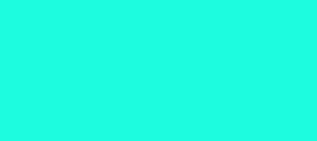 Color #1AFCDC Bright Turquoise (background png icon) HTML CSS