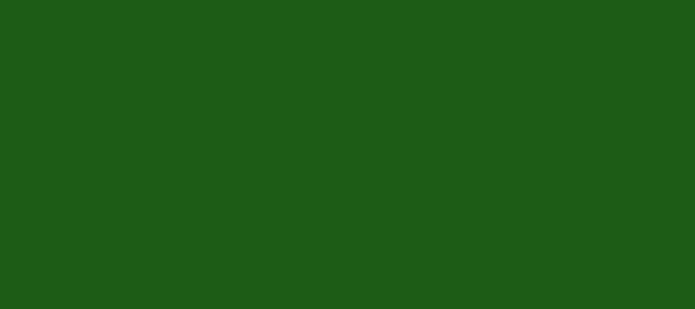 Color #1C5C16 Myrtle (background png icon) HTML CSS