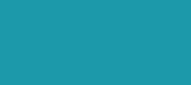 Color #1C99AA Pelorous (background png icon) HTML CSS