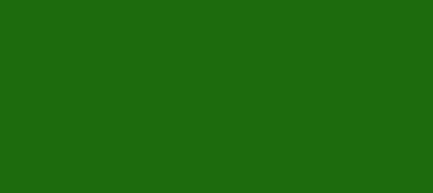 Color #1D6B0D Green (background png icon) HTML CSS