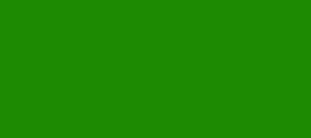 Color #1D8A02 Green (background png icon) HTML CSS