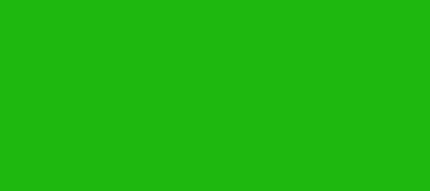 Color #1EB80F Lime Green (background png icon) HTML CSS