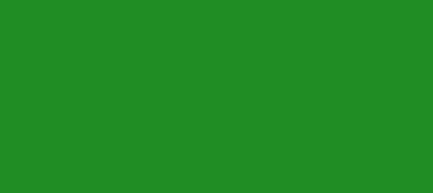 Color #208D25 Forest Green (background png icon) HTML CSS