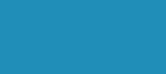 Color #208EB8 Pelorous (background png icon) HTML CSS