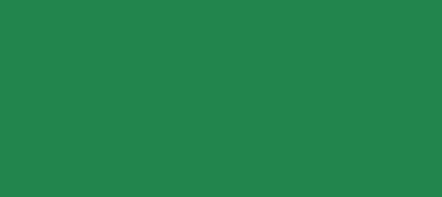 Color #22854D Sea Green (background png icon) HTML CSS