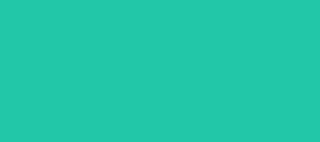Color #22C7A8 Light Sea Green (background png icon) HTML CSS