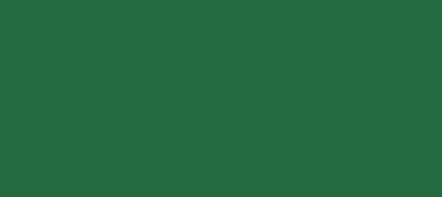Color #236A3E Camarone (background png icon) HTML CSS