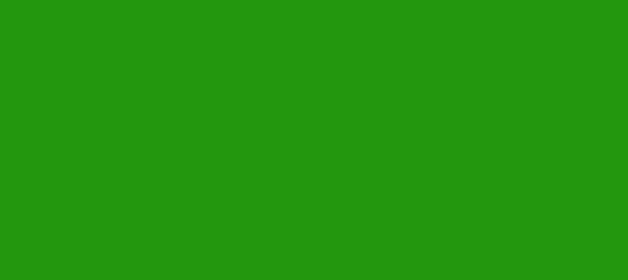 Color #23970E Forest Green (background png icon) HTML CSS