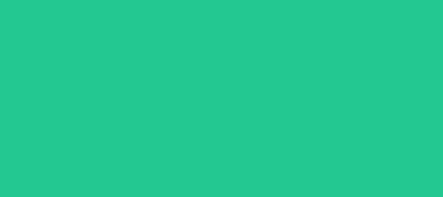 Color #23C891 Shamrock (background png icon) HTML CSS