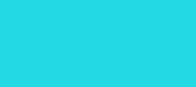 Color #23D9E3 Bright Turquoise (background png icon) HTML CSS