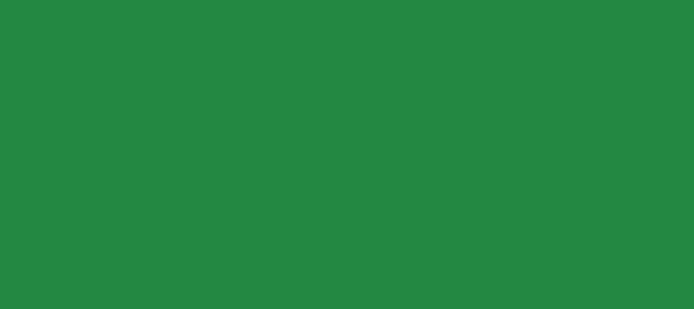 Color #248942 Sea Green (background png icon) HTML CSS