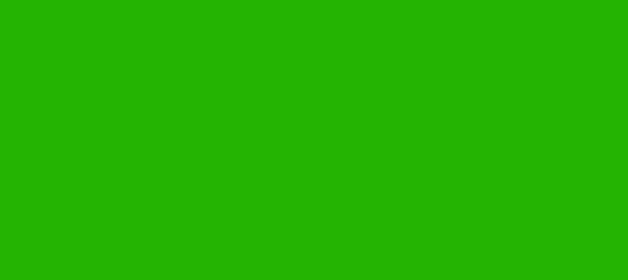 Color #24B402 Kelly Green (background png icon) HTML CSS