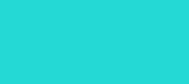 Color #24D9D5 Turquoise (background png icon) HTML CSS