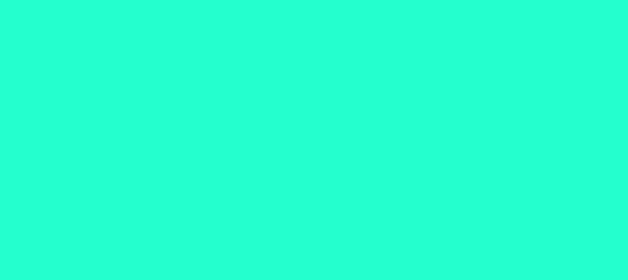 Color #24FFCE Bright Turquoise (background png icon) HTML CSS