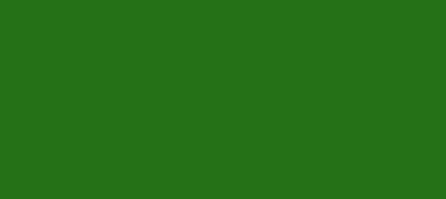 Color #257117 Forest Green (background png icon) HTML CSS