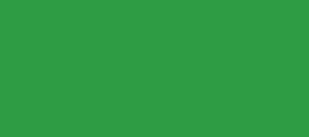 Color #2E9C44 Chateau Green (background png icon) HTML CSS